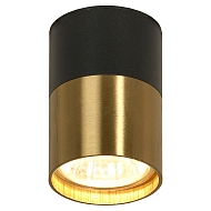 Потолочный светильник Lussole Loft LSP-8555 - купить онлайн в интернет-магазине Люстра-Тут (Санкт-Петербург) недорого