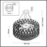 Подвесная люстра Odeon Light Buckle 4989/12 Image 2