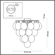 Потолочный светильник Odeon Light Grape 4797/6C Image 3