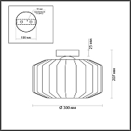 Потолочный светильник Odeon Light Binga 4747/1C Image 3