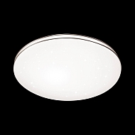 Настенно-потолочный светодиодный светильник Sonex Leka 2051/DL Image 2