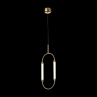 Подвесной светодиодный светильник ST Luce Olbia SL6004.303.02 Image 1