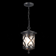 Уличный подвесной светильник ST Luce Lorne SL085.403.01 Image 1