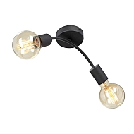 Потолочная люстра Vitaluce V4989-1/2PL Image 1