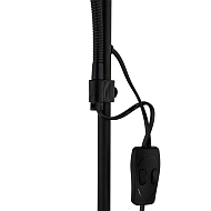 Торшер Arte Lamp Duetto A9569PN-2BK Image 2