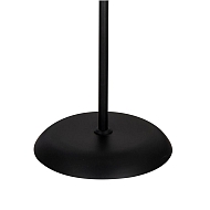 Торшер Arte Lamp Duetto A9569PN-2BK Image 1