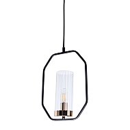 Подвесной светильник Arte Lamp Celaeno A7004SP-1BK Image 2