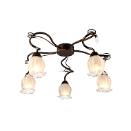 Потолочная люстра Arte Lamp 83 A7449PL-5BR Image 2