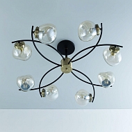 Потолочная люстра Citilux Фабула CL110185 Image 0