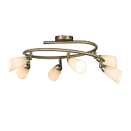 Спот Citilux Белла CL501163 - купить онлайн в интернет-магазине Люстра-Тут (Санкт-Петербург) недорого