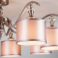 Потолочная люстра Eurosvet 60070/8 сатин-никель Image 1