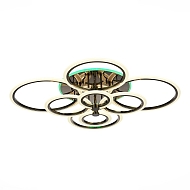 Потолочная светодиодная люстра Evoled Cerina SLE500582-08RGB Image 3