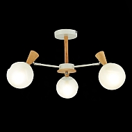 Потолочная люстра Evoluce Catania SLE220702-03 Image 3