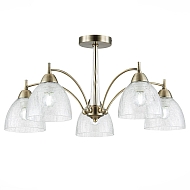 Потолочная люстра Evoluce Nuele SLE104402-05 - купить онлайн в интернет-магазине Люстра-Тут (Санкт-Петербург) недорого