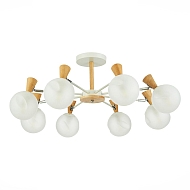 Потолочная люстра Evoluce Catania SLE220702-08 Image 2