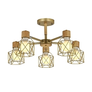 Потолочная люстра Evoluce Stelitto SLE110402-05 - купить онлайн в интернет-магазине Люстра-Тут (Санкт-Петербург) недорого