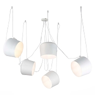 Подвесная люстра Evoluce Trieste SLE120653-05 Image 1