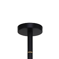 Подвесная люстра Favourite Eternity 2766-8P Image 2