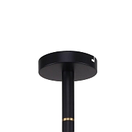 Подвесная люстра Favourite Eternity 2766-12P Image 2