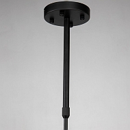 Подвесная люстра Favourite Recens 2626-16P Image 2