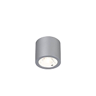 Потолочный светодиодный светильник Favourite Deorsum 2808-1C Image 0