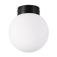 Настенно-потолочный светильник Lightstar Globo 812017 - купить онлайн в интернет-магазине Люстра-Тут (Санкт-Петербург) недорого
