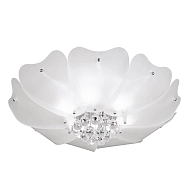 Потолочный светильник Lightstar Lobo 804020 - купить онлайн в интернет-магазине Люстра-Тут (Санкт-Петербург) недорого