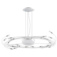 Подвесной светильник Lightstar Ovale 784346 - купить онлайн в интернет-магазине Люстра-Тут (Санкт-Петербург) недорого