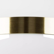 Настенно-потолочный светильник Lightstar Globo 812111 Image 1