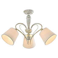 Потолочная люстра Lussole Lgo LSP-8061 Image 0