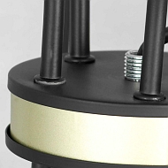 Подвесная люстра Lussole Lgo Roosevelt LSP-8198 Image 1