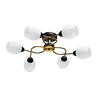 Потолочная люстра MW-Light Олимпия 638018406 - купить онлайн в интернет-магазине Люстра-Тут (Санкт-Петербург) недорого