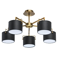 Потолочная люстра MW-Light Сайрус 2 721010205 Image 0