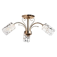 Потолочная люстра MW-Light Олимпия 638010203 Image 0