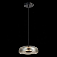 Подвесной светодиодный светильник ST Luce Lazio SL6002.403.01 Image 1