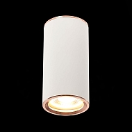 Потолочный светильник ST Luce Chomus ST111.527.01 Image 1