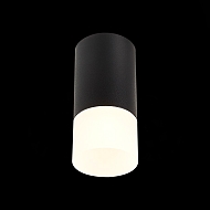 Потолочный светильник ST Luce ST100.412.01 Image 1