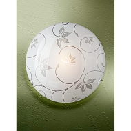 Настенно-потолочный светильник Vitaluce V6424/2A Image 1