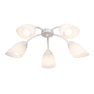 Потолочная люстра Vitaluce V3194/5PL Image 0