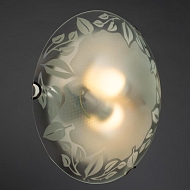 Настенный светильник Arte Lamp Leaves A4020PL-2CC Image 2
