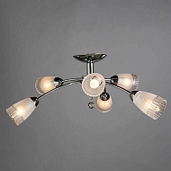 Потолочная люстра Arte Lamp Giulia A6198PL-6CC Image 2