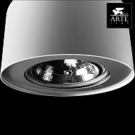 Потолочный светильник Arte Lamp Cliff A5643PL-1WH Image 1