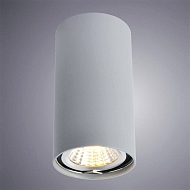 Потолочный светильник Arte Lamp A1516PL-1GY Image 1
