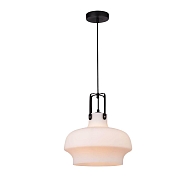 Подвесной светильник Arte Lamp Arno A3624SP-1WH Image 1