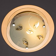 Потолочный светильник Arte Lamp A4043PL-1CC Image 2