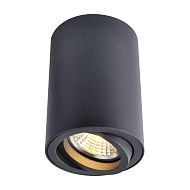 Потолочный светильник Arte Lamp A1560PL-1BK Image 0
