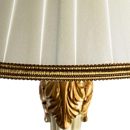 Настольная лампа Arte Lamp Benessere A9570LT-1WG Image 3