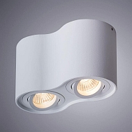 Потолочный светильник Arte Lamp Falcon A5645PL-2WH Image 1