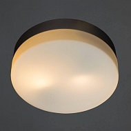 Потолочный светильник Arte Lamp Shirp A3211PL-2SI Image 1