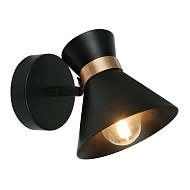 Спот Arte Lamp Baltimore A1406AP-1BK Image 1